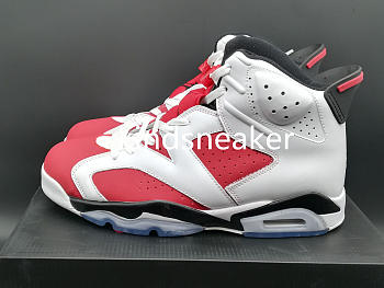 Air Jordan 6 Retor quot Carmine quot 384664-160