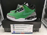 Air Jordan 3 Oregon 867493 - 2