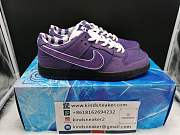 Concepts x Nike SB Dunk Low BV1310 55 - 4