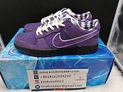 Concepts x Nike SB Dunk Low BV1310 55 - 5