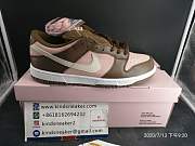 Nike Dunk SB Low Stussy Cherry SHY PINK 304292-671 - 3