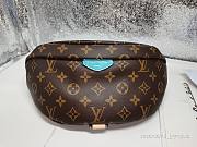 Louis Vuitton Bumbag - 1
