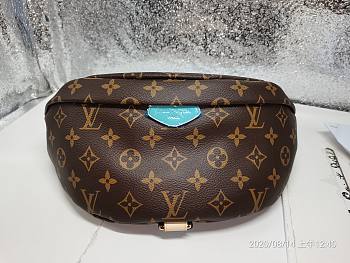Louis Vuitton Bumbag