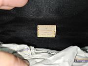 Louis Vuitton Bumbag - 5