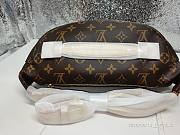 Louis Vuitton Bumbag - 4