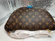 Louis Vuitton Bumbag - 2