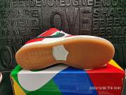 Frame Skate x Nike SB Dunk Low CT2550-600 - 2