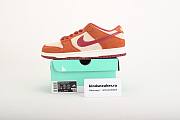 Nike Dunk Low Pro Sb Dark Russet Cedar White Summit BQ6817-202 - 3