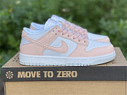 Nike Dunk Low Next Nature Pale Coral (W) DD1873-100 - 2