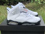 Air Jordan 6 GS “Alligator” 384665-110 - 2