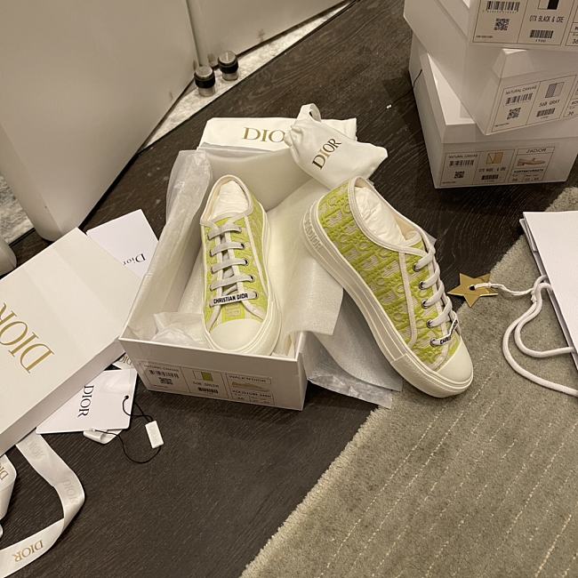 Dior B23 Low Top 002 - 1
