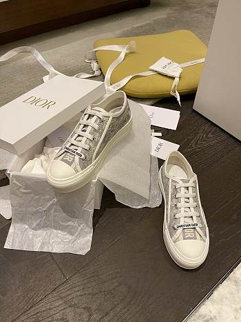 Dior B23 Low Top 004
