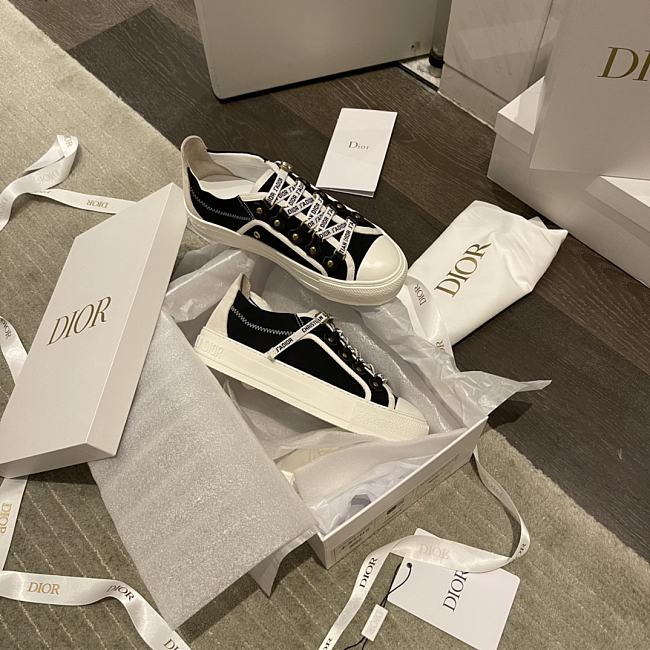 Dior B23 Low Top 005 - 1