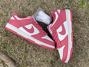 Nike Dunk Low “Archeo Pink” DD1503 111 - 5