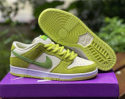 SB Dunk Low “Green Apple” DM0807-300 - 6