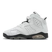 Air Jordan 6 GS “Alligator” 384665-110 - 1