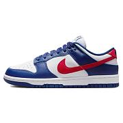 Nike Dunk Low USA (W) - DD1503-119 - 1