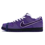 Concepts x Nike SB Dunk Low BV1310 55 - 1