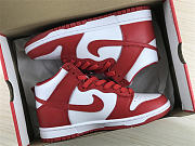 Nike Dunk High Michigan (2020)  CZ8149-700 - 3