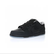 Nike SB Dunk Low Atlas 35MM Black 504750-086 - 3