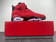 Air Jordan 6 