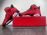 Air Jordan 6 