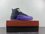 Air Jordan 12 