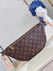 Louis Vuitton Rise Bumbag M46784Size 38x16x8cm - 4