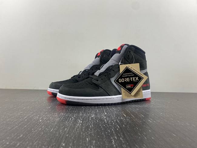 Air Jordan 1 Retro High Element Gore-Tex Black Infrared DB2889-002 - 1