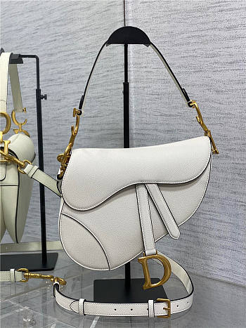 Dior Saddle Bag with Strap Latte Grained Calfskin
