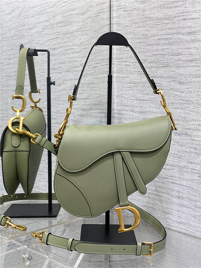 Dior Saddle Bag with Strap Pastel Peyote Green Pearlescent - 1