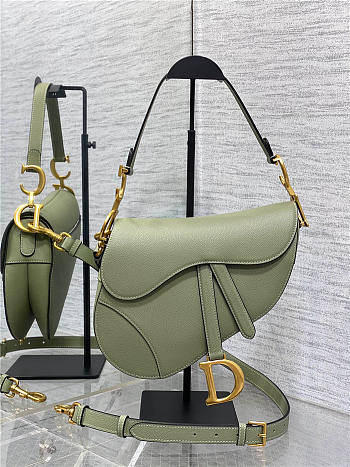 Dior Saddle Bag with Strap Pastel Peyote Green Pearlescent