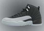 Air Jordan 12 Black Wolf Grey CT8013-010 - 1