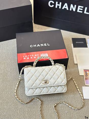 Sale Chanel Bag 107