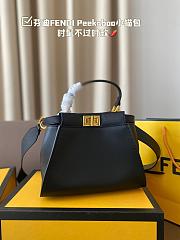 Sale Fendi Bag 39 - 4