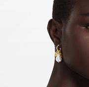 Louis Vuitton Earrings Gold 49 - 6