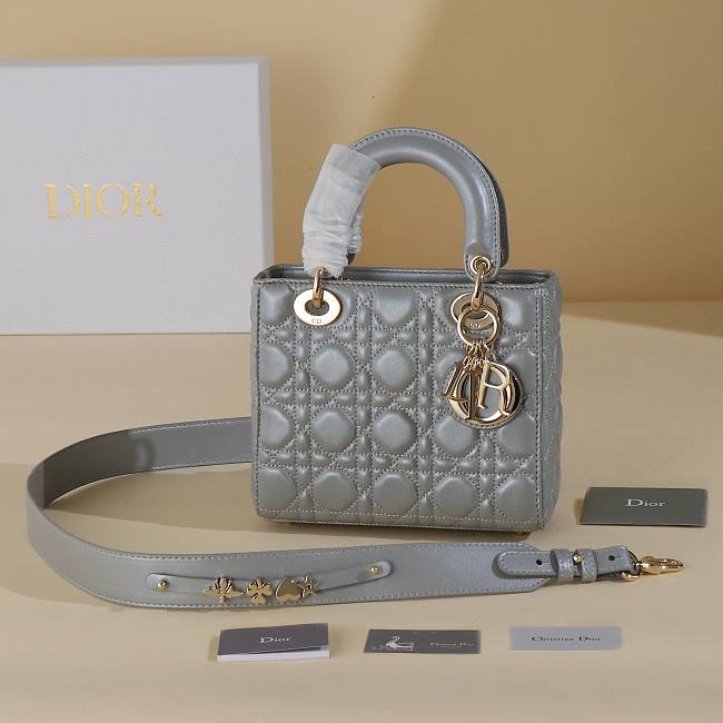 Dior Gray Lady My ABCDIOR B930282 Size 20x17x8cm - 1