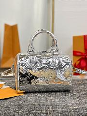 LV Speedy Bandoulière 20 Silver Size 20x13x12cm - 1