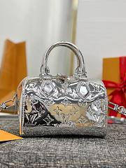 LV Speedy Bandoulière 20 Silver Size 20x13x12cm - 6