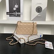 Chanel Flap Bag Metalic Beige Size 20×11×5cm - 4