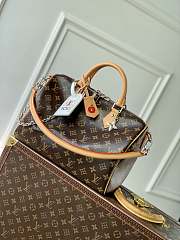 LV Speedy Soft 30 Crafty MonogramM12243 Size 30x21x7cm - 3
