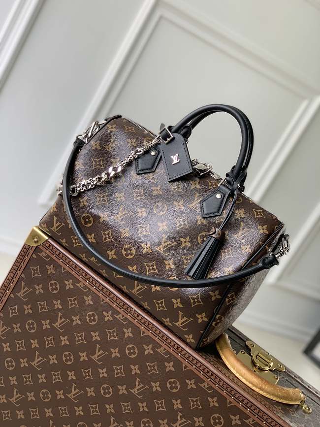 LV Speedy Soft 30 Crafty MonogramM12244 Size 30x21x7cm - 1