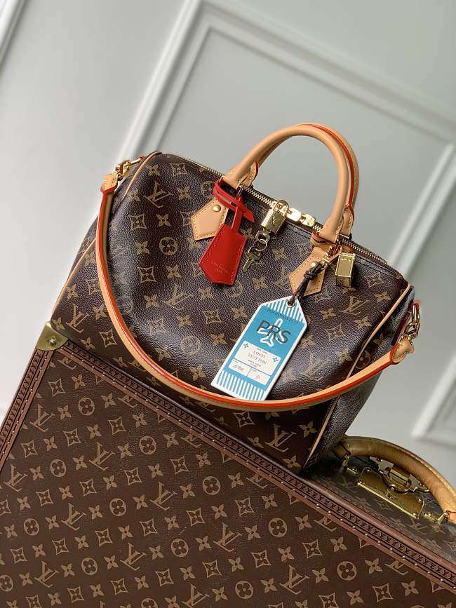 LV Speedy Soft 30 Crafty MonogramM12245 Size 30x21x7cm - 1