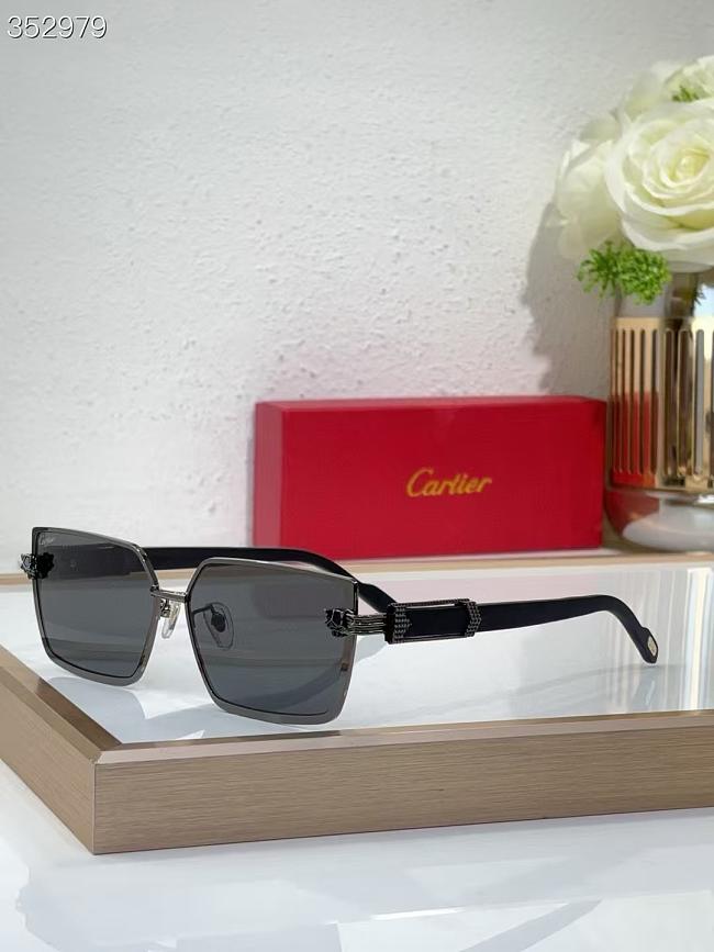 Cartier Glasses Black CT0886 - 1