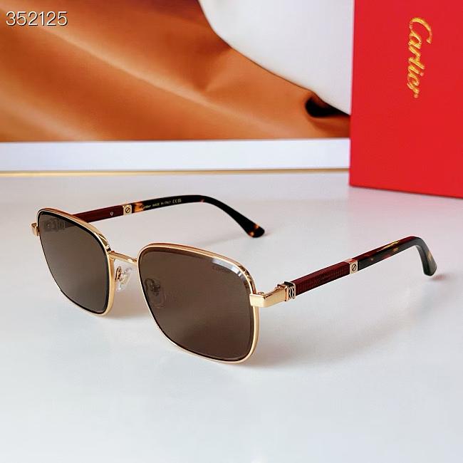 Cartier Sunglasses Brown CT0491 - 1