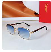 Cartier Sunglasses Blue CT0491 - 1