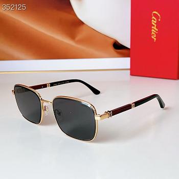 Cartier Sunglasses Black CT0491