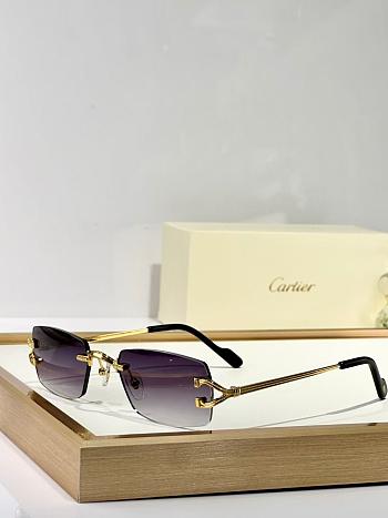 Cartier Sunglasses Purple CT0550