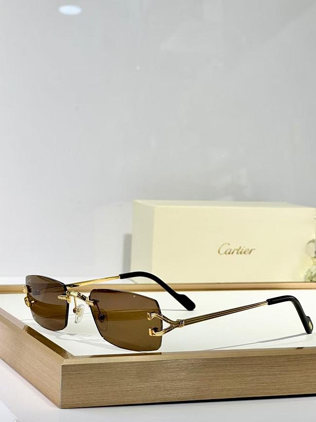 Cartier Sunglasses Brown CT0550 - 1