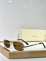 Cartier Sunglasses Brown CT0550 - 1
